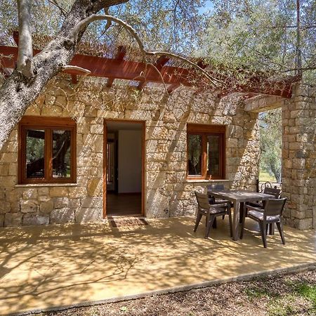 Apartamento Stonehouse In Olives Ulcinj Exterior foto